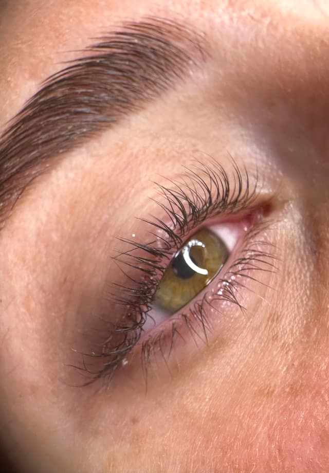 Tretmani tela i trepavice — Evabeautysalon.bg, Borča