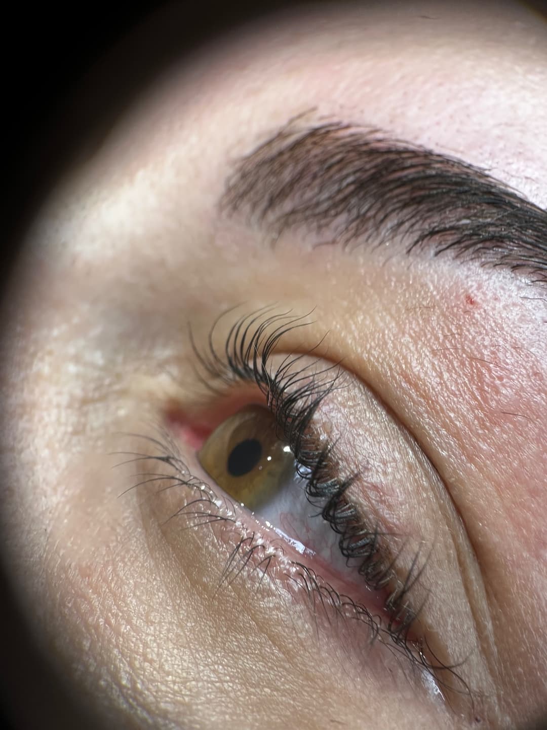 Obrve i depilacija — EvaBeautysalon.bg, Borča, fotografija 4