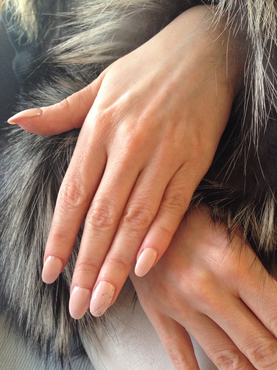 Nokti i pedikir — Belle mani, Novi Beograd, fotografija 15