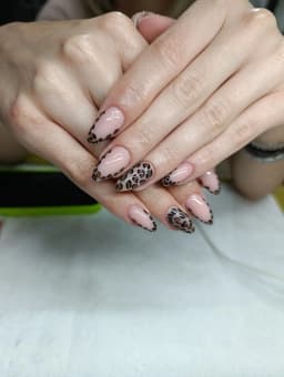 Nadogradnja tipsama example